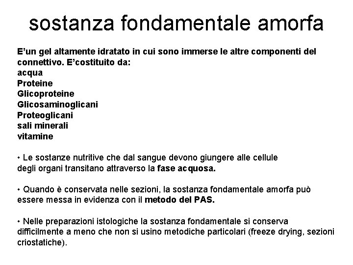 sostanza fondamentale amorfa E’un gel altamente idratato in cui sono immerse le altre componenti