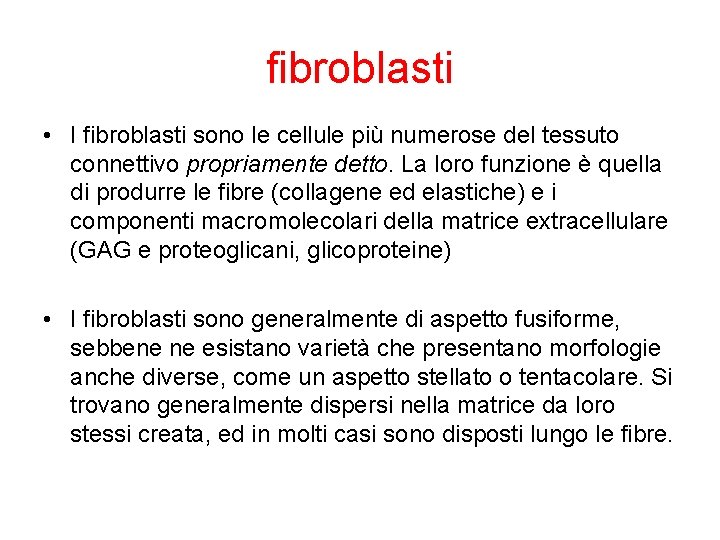 fibroblasti • I fibroblasti sono le cellule più numerose del tessuto connettivo propriamente detto.