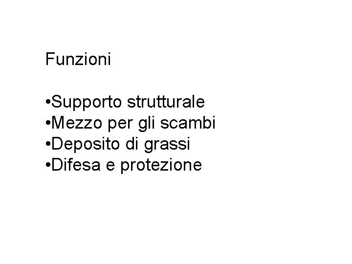 Funzioni • Supporto strutturale • Mezzo per gli scambi • Deposito di grassi •