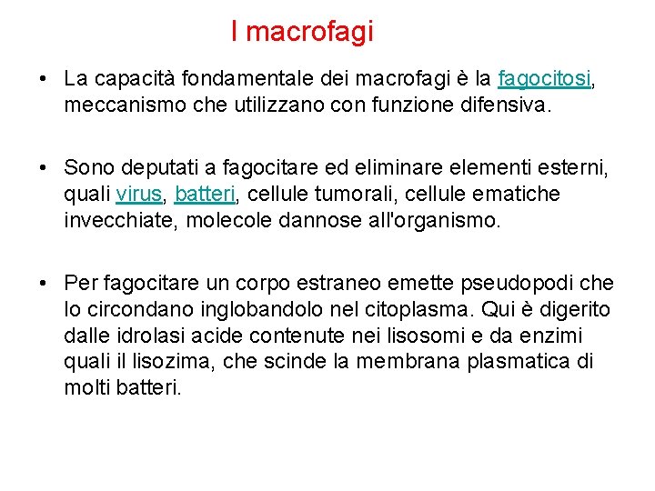 I macrofagi • La capacità fondamentale dei macrofagi è la fagocitosi, meccanismo che utilizzano