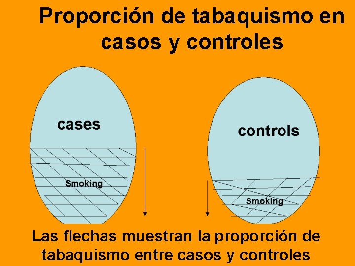 Proporción de PROPORTION OFtabaquismo SMOKING INen casos controles CASES ANDy CONTROLS cases controls Smoking