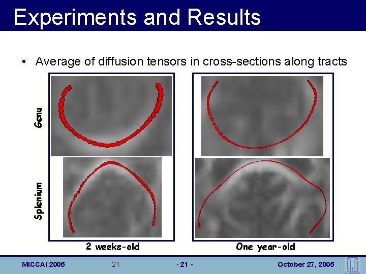 Experiments and Results Splenium Genu • Average of diffusion tensors in cross-sections along tracts