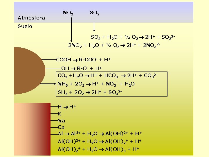 Atmósfera NO 2 SO 2 Suelo SO 2 + H 2 O + ½