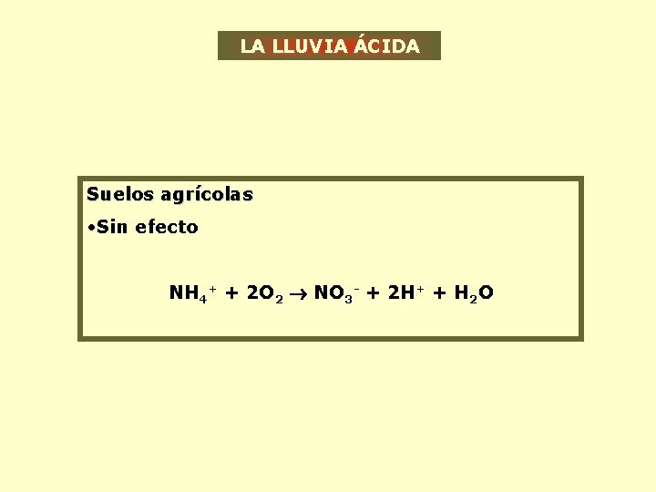 LA LLUVIA ÁCIDA Suelos agrícolas • Sin efecto NH 4+ + 2 O 2