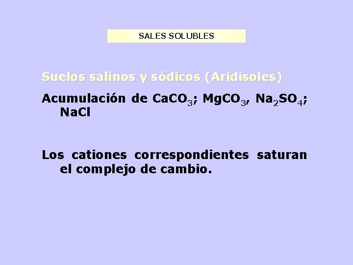 SALES SOLUBLES Suelos salinos y sódicos (Aridisoles) Acumulación de Ca. CO 3; Mg. CO