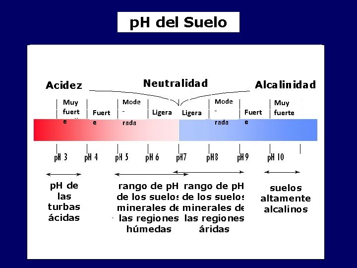 p. H del Suelo Neutralidad Acidez Muy fuert e p. H de las turbas