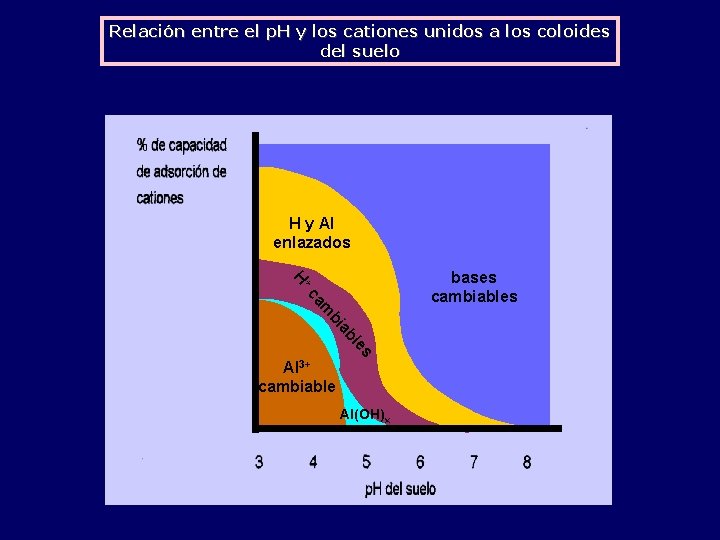 Relación entre el p. H y los cationes unidos a los coloides del suelo