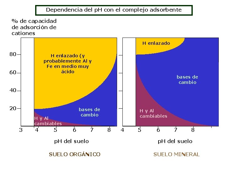 Dependencia del p. H con el complejo adsorbente % de capacidad de adsorción de