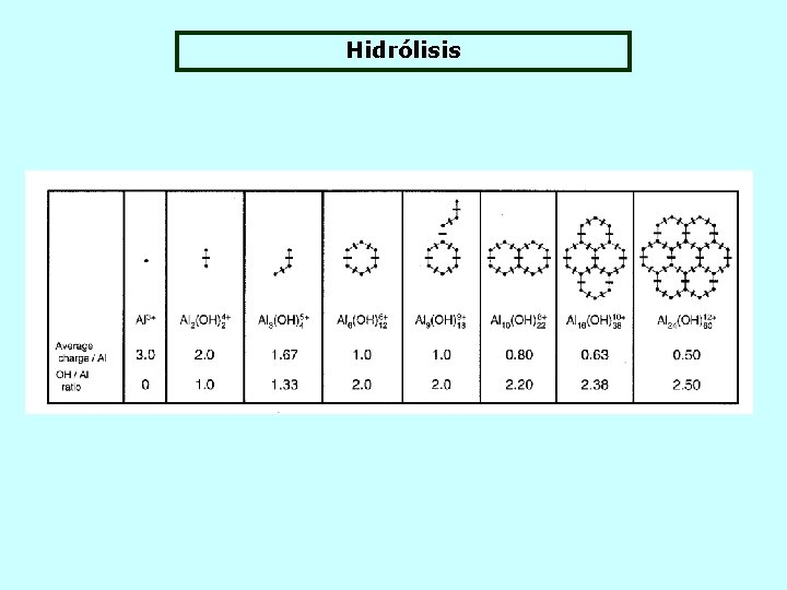 Hidrólisis 