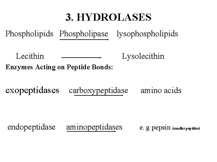 3. HYDROLASES Phospholipids Phospholipase lysophospholipids Lecithin Lysolecithin Enzymes Acting on Peptide Bonds: exopeptidases carboxypeptidase