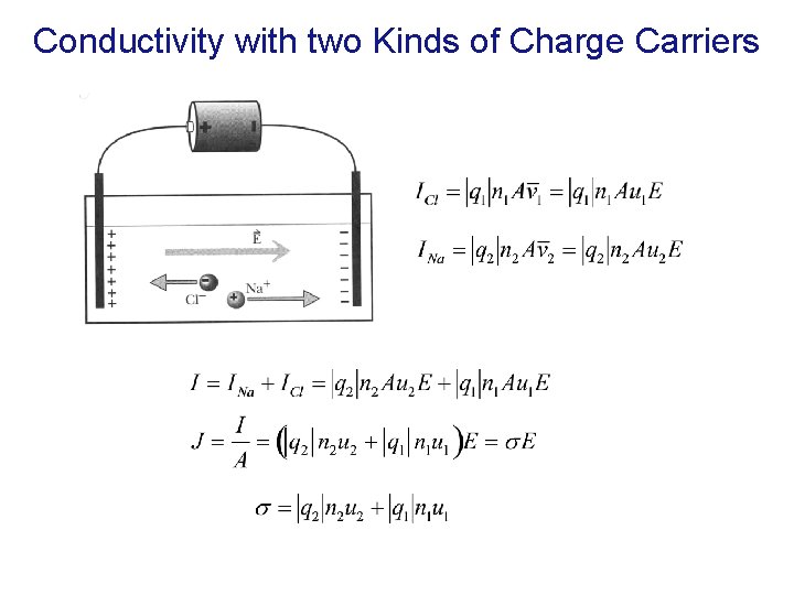 Conductivity with two Kinds of Charge Carriers Conductivity with two Kinds of Charge Carriers