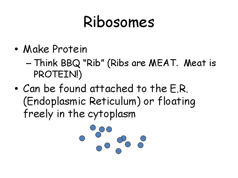 Ribosomes • Make Protein – Think BBQ “Rib” (Ribs are MEAT. Meat is PROTEIN!)