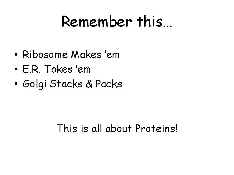 Remember this… • Ribosome Makes ‘em • E. R. Takes ‘em • Golgi Stacks