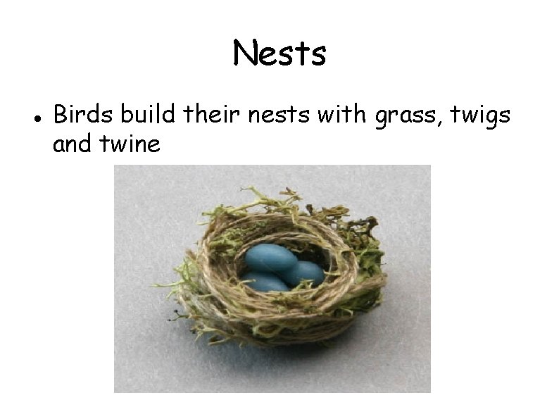 Nests Birds build their nests with grass, twigs and twine 