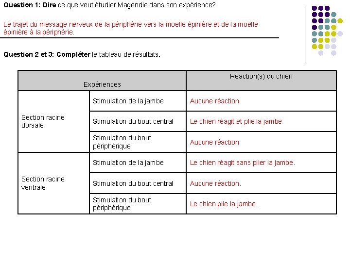 Question 1: Dire ce que veut étudier Magendie dans son expérience? Le trajet du