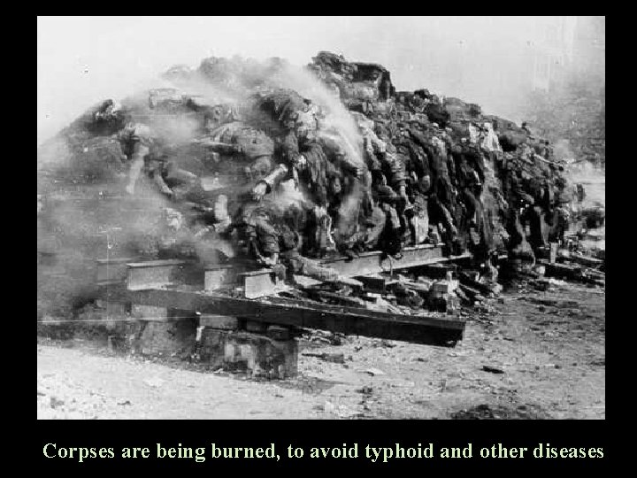 Corpses are being burned, to avoid typhoid and other diseases 