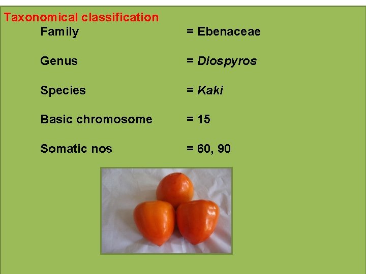 Taxonomical classification Family = Ebenaceae Genus = Diospyros Species = Kaki Basic chromosome =