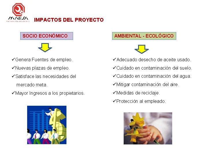 IMPACTOS DEL PROYECTO SOCIO ECONÓMICO AMBIENTAL - ECOLÓGICO üGenera Fuentes de empleo. üAdecuado desecho