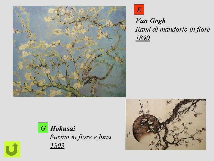 E Van Gogh Rami di mandorlo in fiore 1890 G Hokusai Susino in fiore
