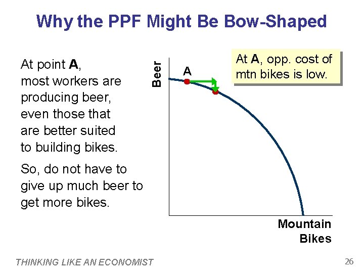At point A, most workers are producing beer, even those that are better suited