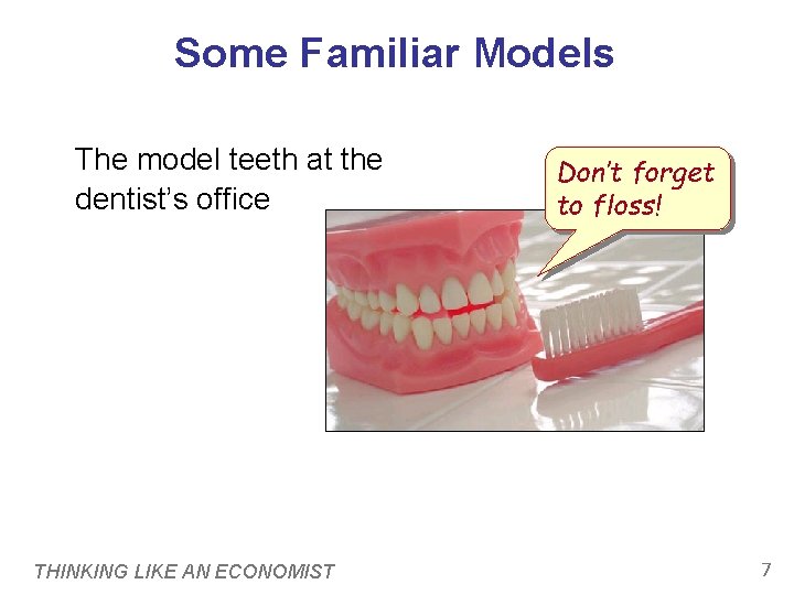 Some Familiar Models The model teeth at the dentist’s office THINKING LIKE AN ECONOMIST