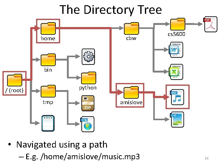 The Directory Tree cbw home cs 5600 bin python / (root) tmp amislove •