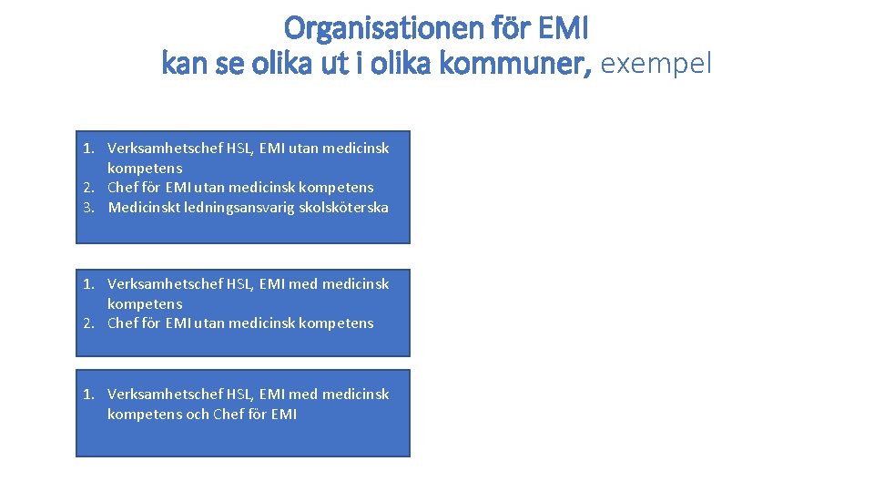 Organisationen för EMI kan se olika ut i olika kommuner, exempel 1. Verksamhetschef HSL,