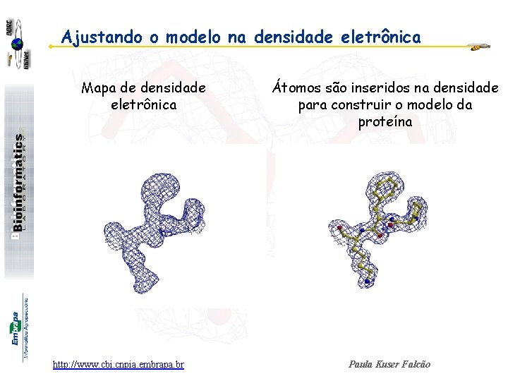 Ajustando o modelo na densidade eletrônica Mapa de densidade eletrônica http: //www. cbi. cnpia.