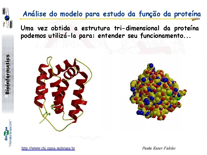 Análise do modelo para estudo da função da proteína Uma vez obtida a estrutura