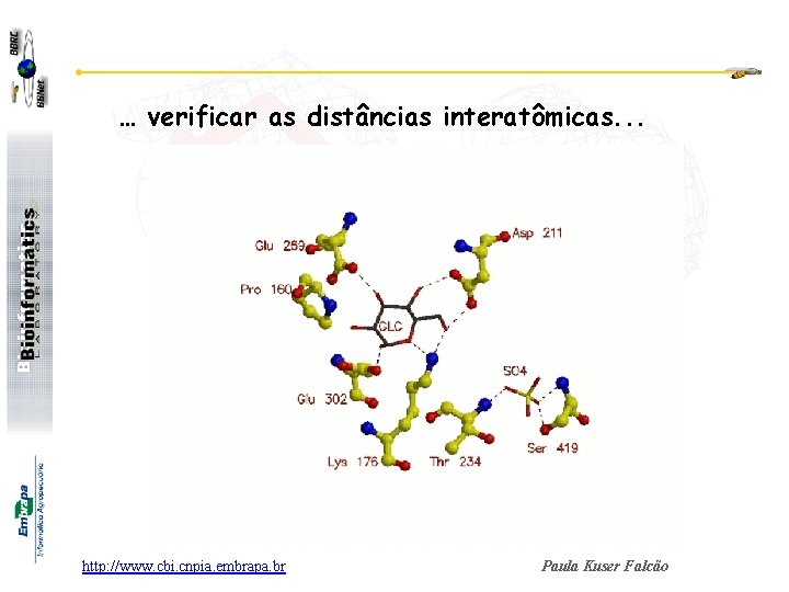 … verificar as distâncias interatômicas. . . http: //www. cbi. cnpia. embrapa. br Paula