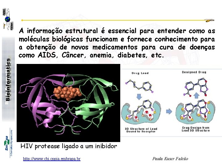 A informação estrutural é essencial para entender como as moléculas biológicas funcionam e fornece