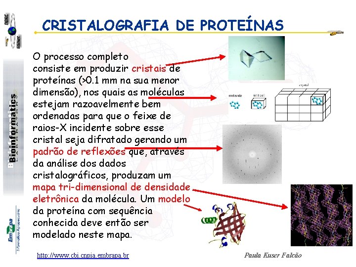 CRISTALOGRAFIA DE PROTEÍNAS O processo completo consiste em produzir cristais de proteínas (>0. 1