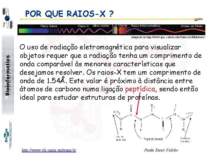 POR QUE RAIOS-X ? Adaptado de http: //www. ipac. caltech. edu/Outreach/Multiwave/ O uso de