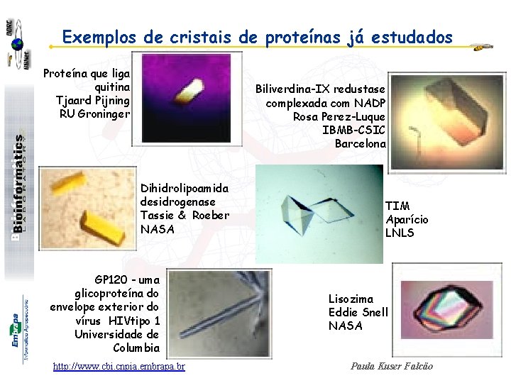 Exemplos de cristais de proteínas já estudados Proteína que liga quitina Tjaard Pijning RU