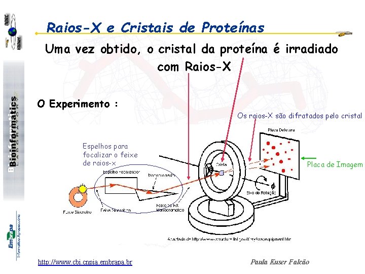 Raios-X e Cristais de Proteínas Uma vez obtido, o cristal da proteína é irradiado