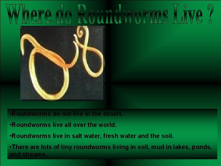  • Roundworms do not live in the desert. • Roundworms live all over