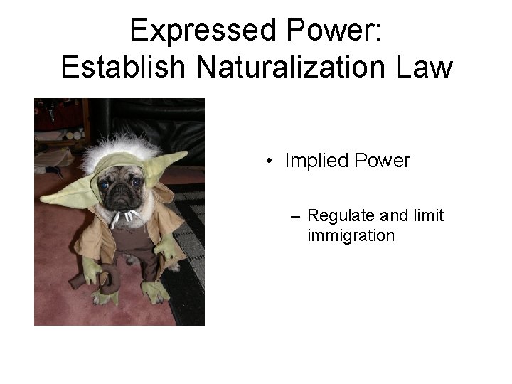 Expressed Power: Establish Naturalization Law • Implied Power – Regulate and limit immigration 