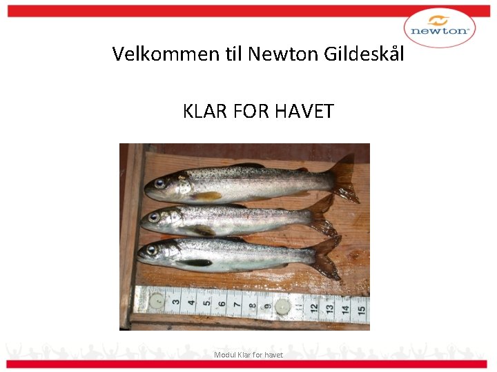 Velkommen til Newton Gildeskål KLAR FOR HAVET Modul Klar for havet 