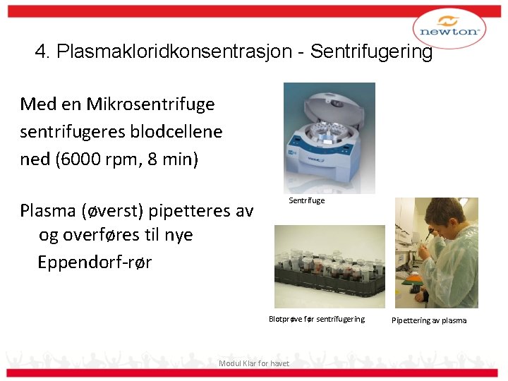 4. Plasmakloridkonsentrasjon - Sentrifugering Med en Mikrosentrifugeres blodcellene ned (6000 rpm, 8 min) Plasma