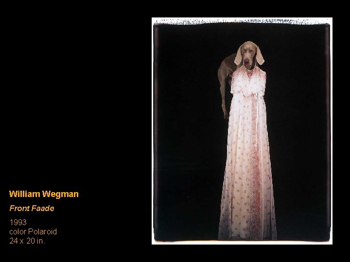 William Wegman Front Faade 1993 color Polaroid 24 x 20 in. 