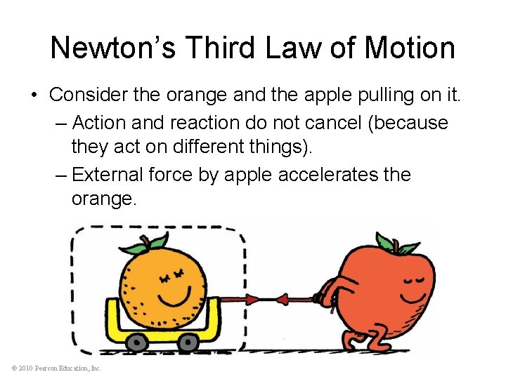 Newton’s Third Law of Motion • Consider the orange and the apple pulling on