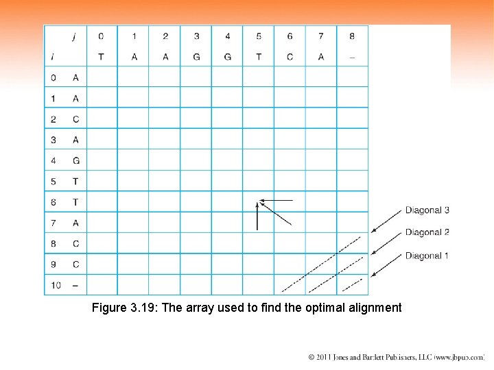 Figure 3. 19: The array used to find the optimal alignment 