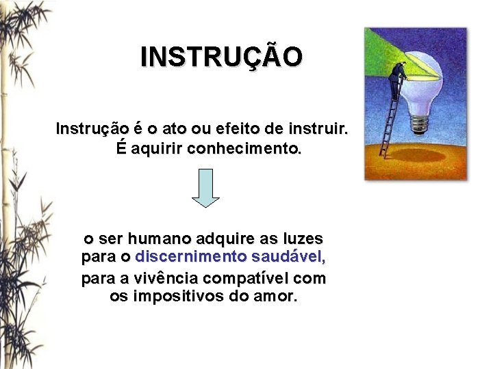 INSTRUÇÃO Instrução é o ato ou efeito de instruir. É aquirir conhecimento. o ser