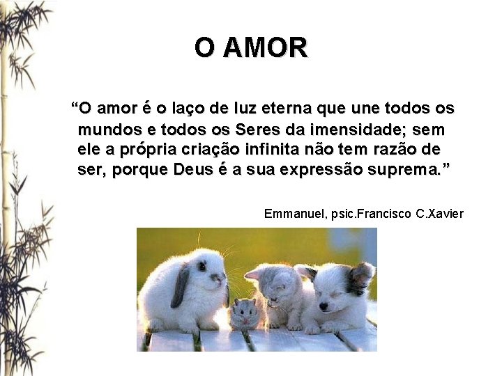 O AMOR “O amor é o laço de luz eterna que une todos os