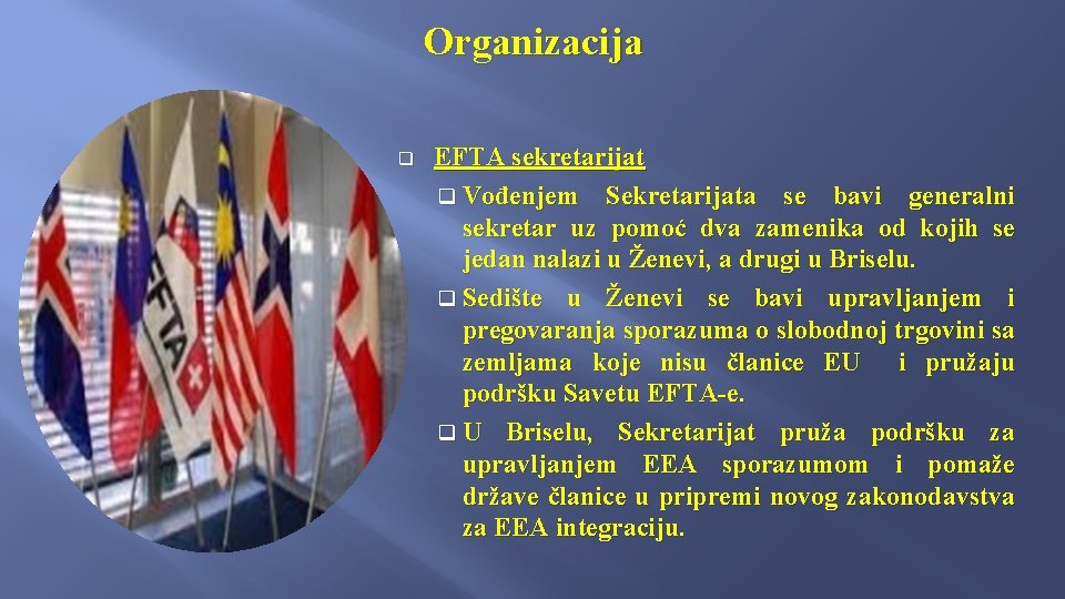 Organizacija q EFTA sekretarijat q Vođenjem Sekretarijata se bavi generalni sekretar uz pomoć dva