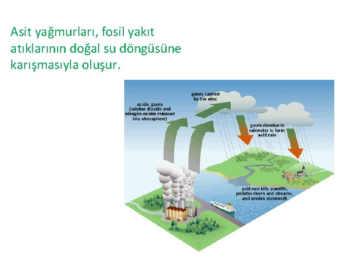 Asit yağmurları, fosil yakıt atıklarının doğal su döngüsüne karışmasıyla oluşur. 