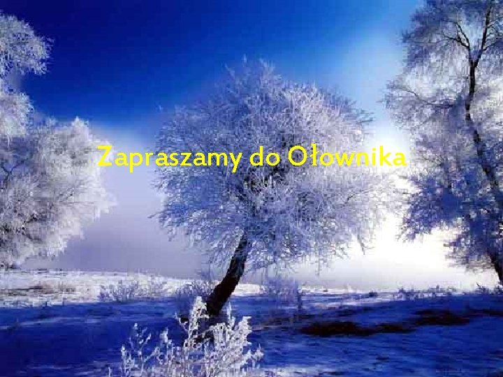 Zapraszamy do Ołownika 