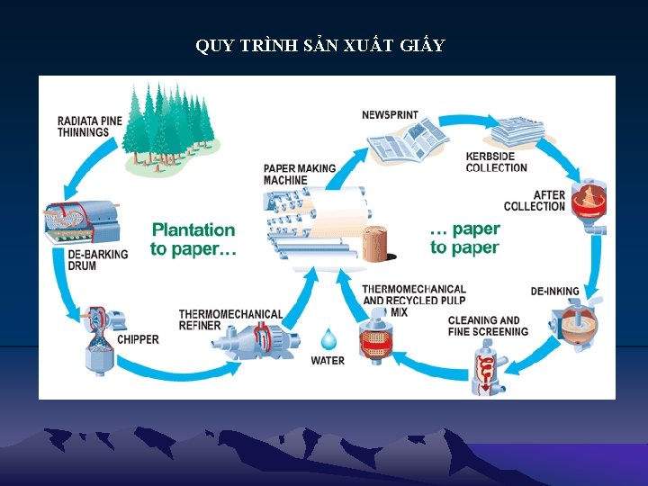 QUY TRÌNH SẢN XUẤT GIẤY 