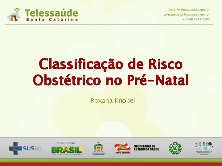 Classificação de Risco Obstétrico no Pré-Natal Roxana Knobel 