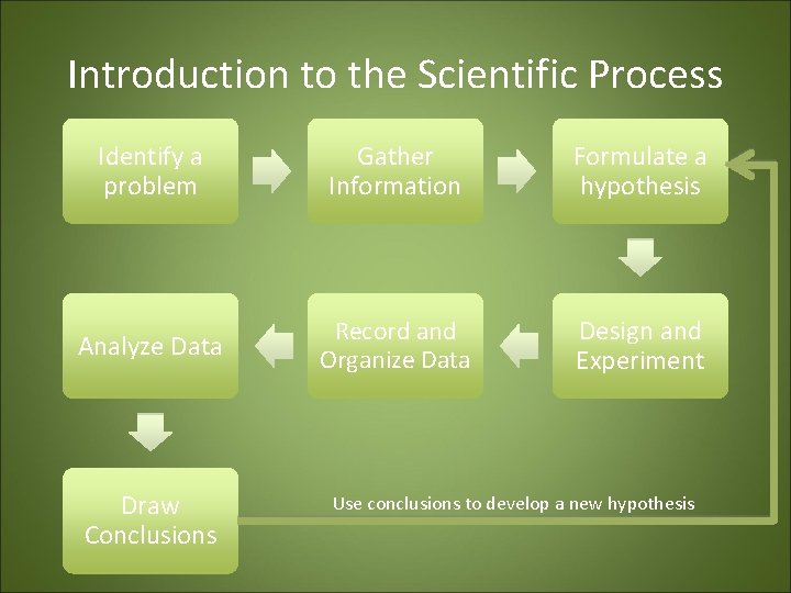 Introduction to the Scientific Process Identify a problem Gather Information Formulate a hypothesis Analyze